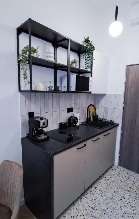 Lion Apartments - Premium Studio With Balcony คราคูฟ ภายนอก รูปภาพ